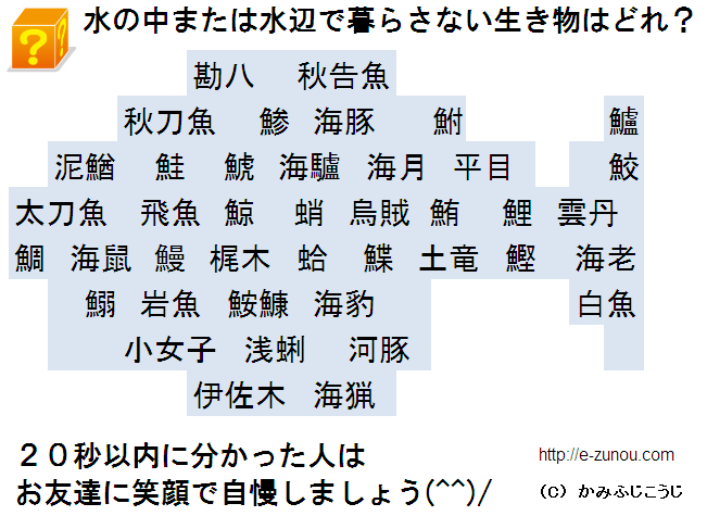 ロイヤリティフリー魚の 漢字 クイズ すべての美しい花の画像