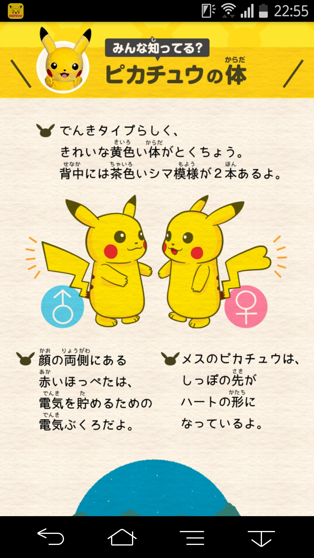 Sipjpmuryony6uz ピカチュウ メス しっぽ いつから ピカチュウ メス しっぽ いつから