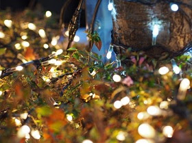 ファッショントレンド 最高のクリスマス プレゼント 恋人 未満 女性