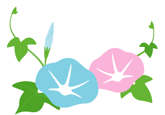 ベスト50 朝顔 イラスト 和風 美しい花の画像