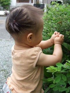 イメージカタログ 最高 50 赤ちゃん 頭 ぐりぐり