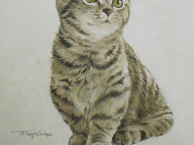 √ダウンロード かわいい 猫 イラスト リアル 996811-かわいい 鉛筆 猫 イラスト リアル