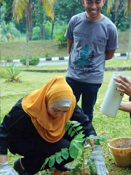 Ubat Menghalau Lipas - Kerja Kosk