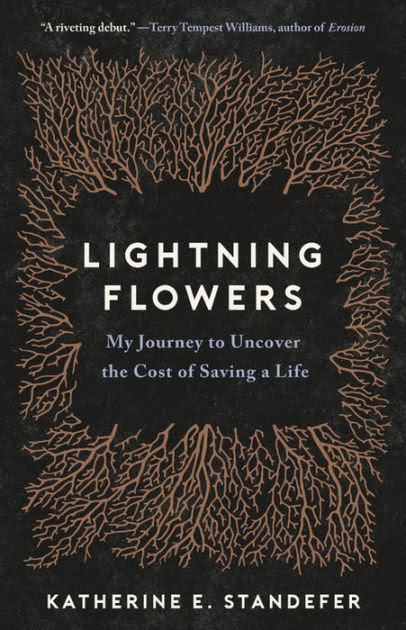 The plot here is a simple one and in lesser hands, may have struggled to keep readers engaged. Lightning Flowers My Journey To Uncover The Cost Of Saving A Life By Katherine E Standefer Hardcover Barnes Noble