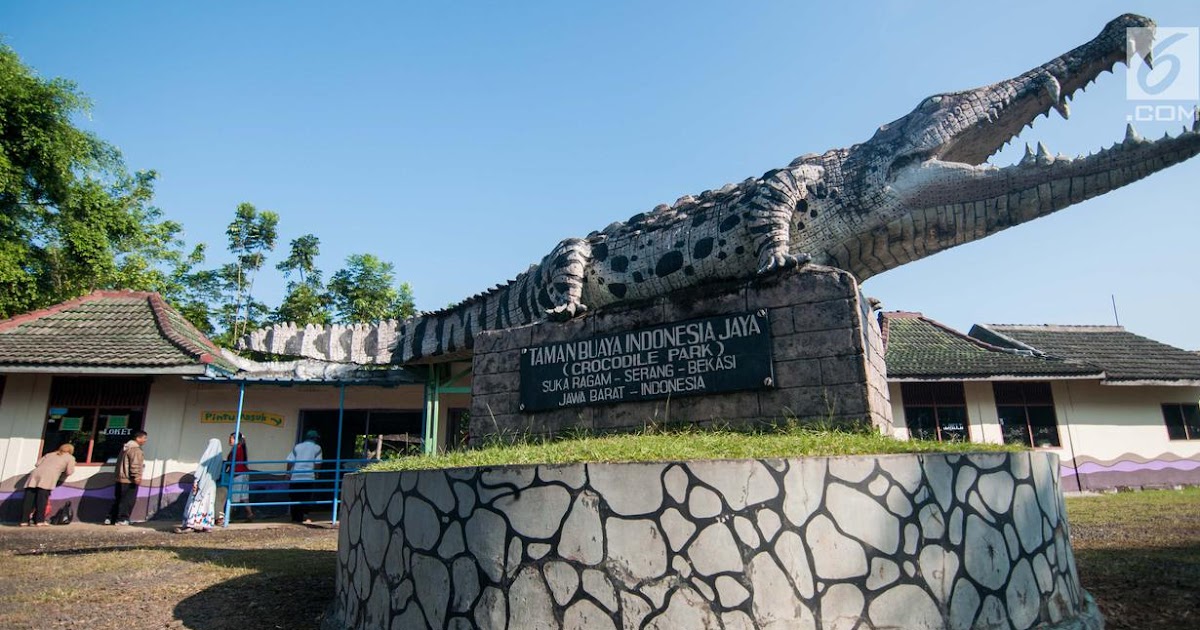 Apakah Taman Buaya Buka / Melawat Taman Buaya Terbesar di ...