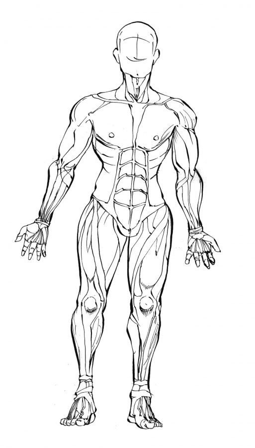 Japan Image 腕 筋肉 描き方