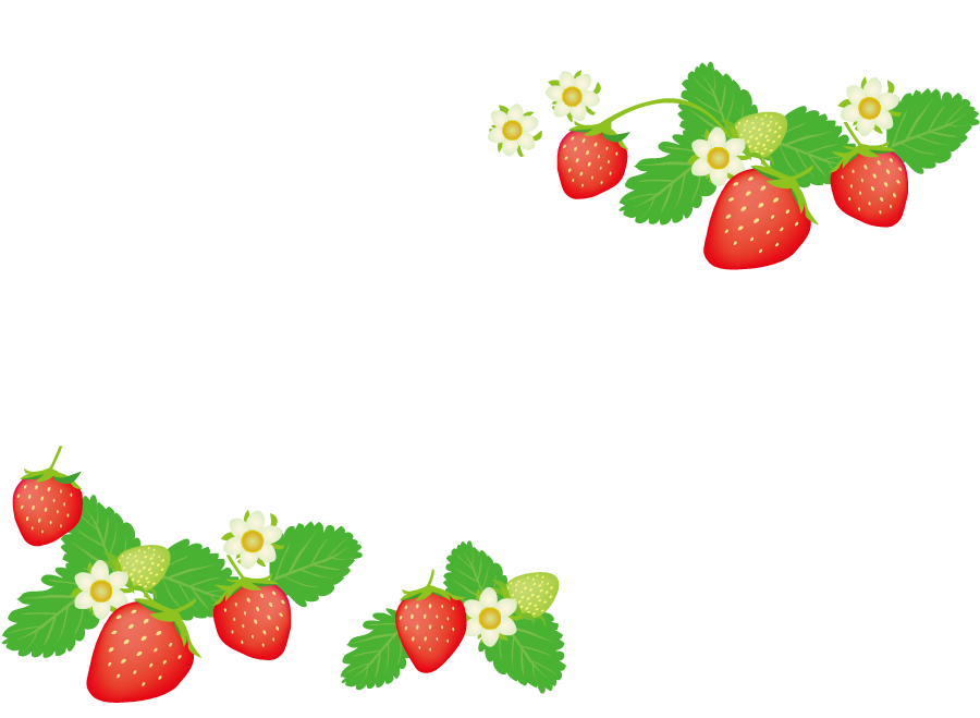 美しい花の画像 75 イラスト いちご 画像 フリー