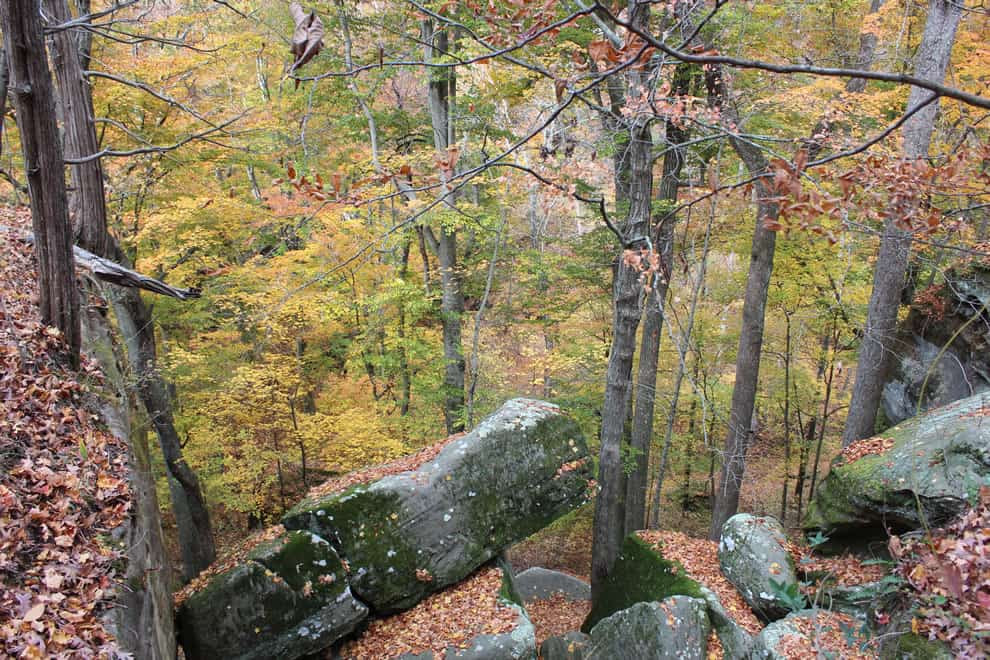 Rim Rock overlooking Pounds Hollow