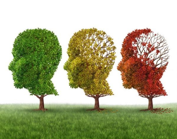 People with early Alzheimer's brain changes can be identified with 94% accuracy, the study found. A new Alzheimer patients positive prospect.