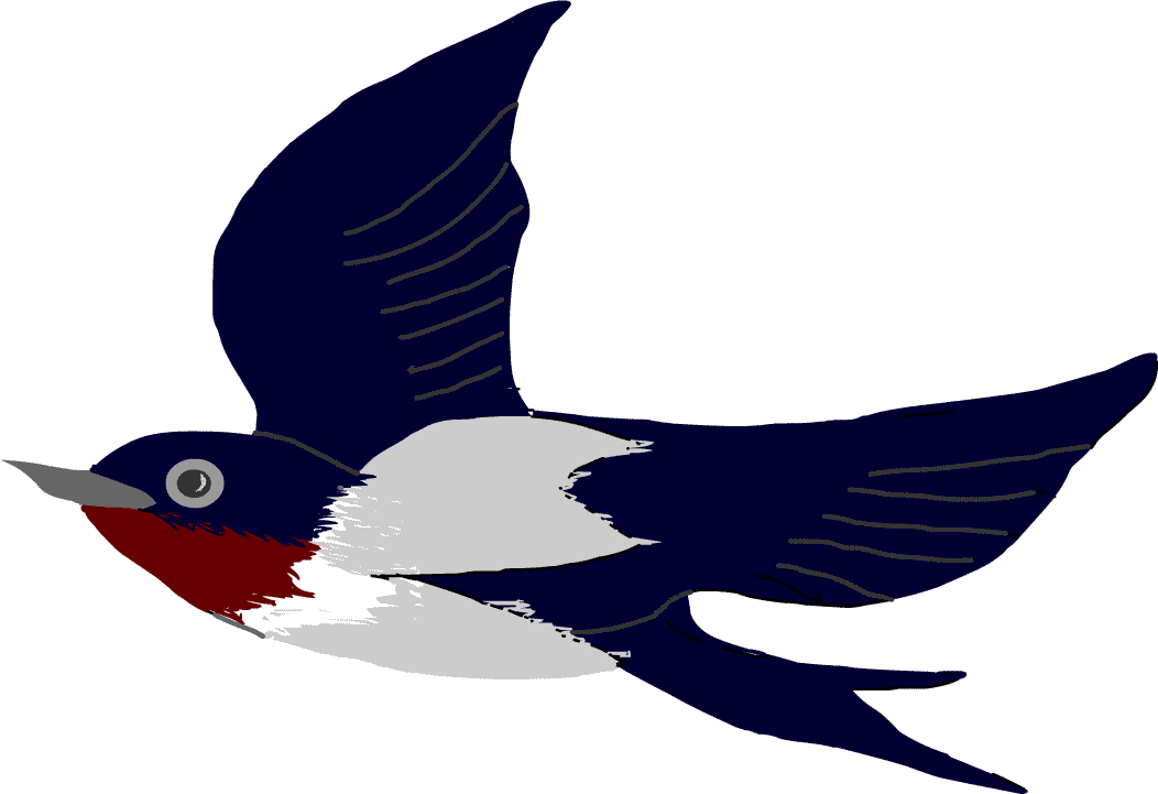 ロイヤリティフリー燕 イラスト 最高の動物画像