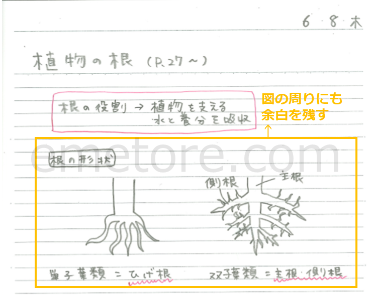 元の6 年 宿題 自学 ノート理科 最高のぬりえ