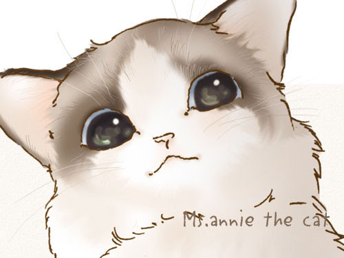 新着猫 イラスト 可愛い 書き方 すべてのイラスト画像