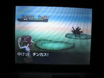 500以上のトップ画像をダウンロード ベストセレクション ポケモン ブラック ホワイト 2 違い