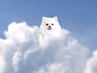 √100以上 line 背景 おすすめ 111568-Line アイコン 背景 おすすめ