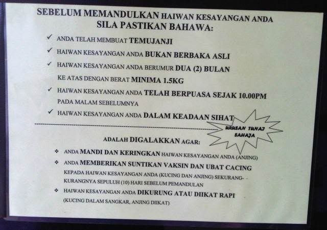 Persediaan Sebelum Kembiri dan Penjagaan Selepas Kembiri 