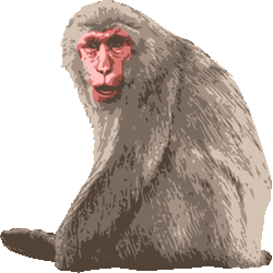 無料ダウンロード猿 イラスト リアル ただのディズニー画像