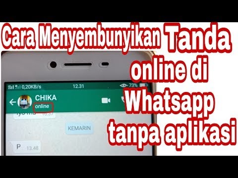 Trik Wa  Supaya Tidak Online Tanpa  Aplikasi  Anies Zierah
