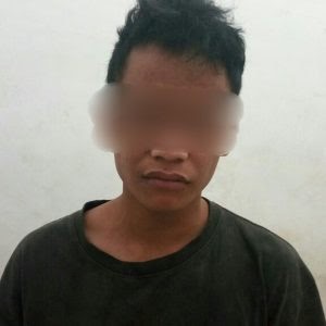 contoh jurnal internasional matematika - contoh vess