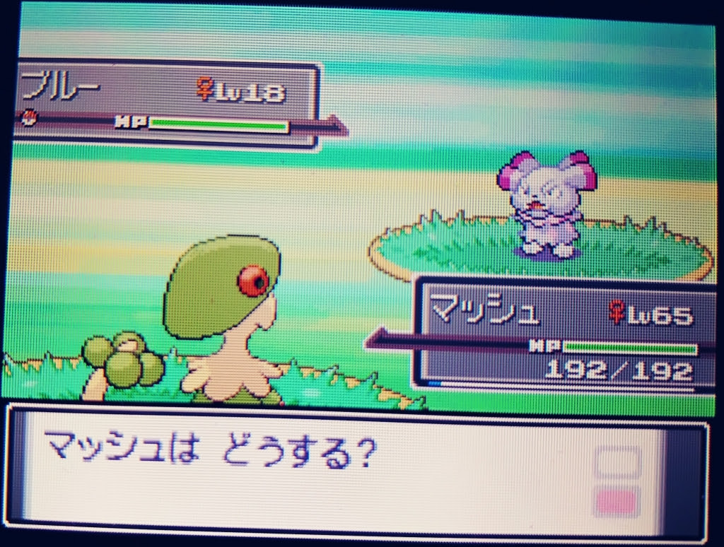 ポケモン オメガルビー 御三家 色違い 最高のイラストと図面
