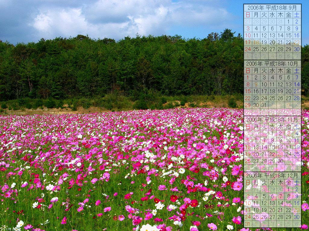 ラブリーデスクトップ 壁紙 無料 花 最高の花の画像