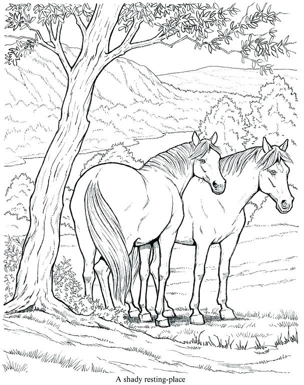 For kids free printable cockroach coloring pages for kids for kids. Clydesdale Horse Coloring Pages At Getdrawings Free Download