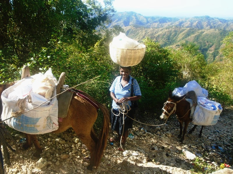 http://www.accionverapaz.org/images/accionverapaz/proyectos/20_mulas/Mulas2.jpg