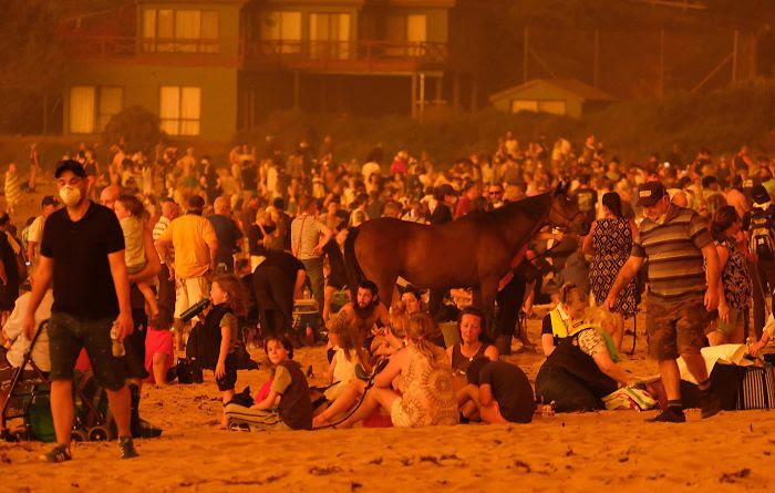 Bushfire                                                          Evacuation