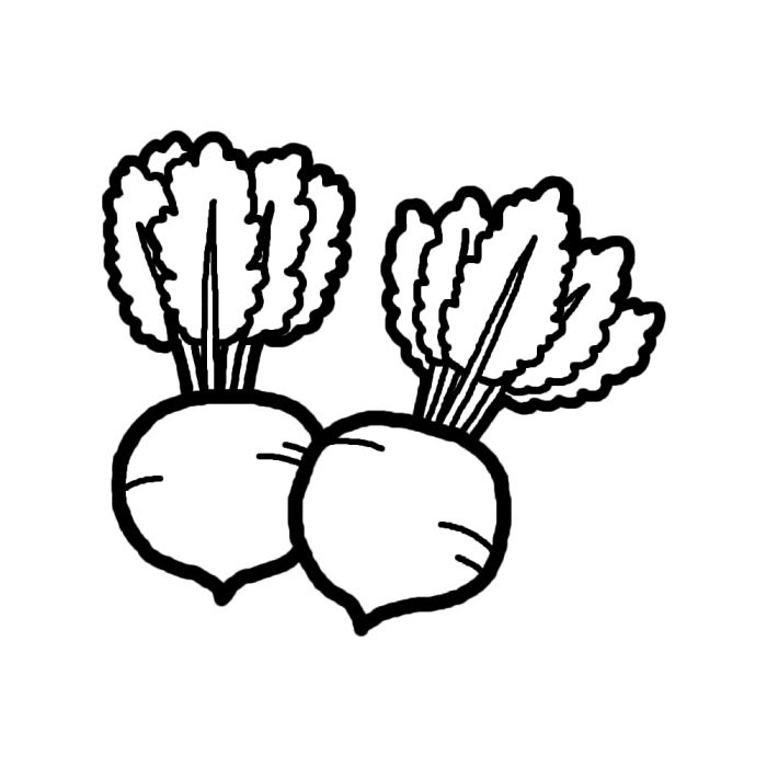 美しい花の画像 75 かぶ イラスト 白黒
