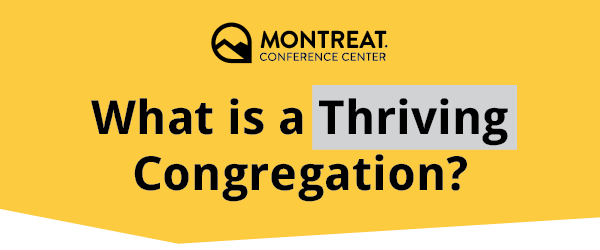 What is a Thriving Congregation?