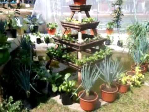 12 Membuat Kebun  Sayur  Di Lahan Sempit Info Penting 