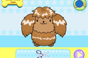 Coiffure4 Jeux De Coiffure Pour Chien