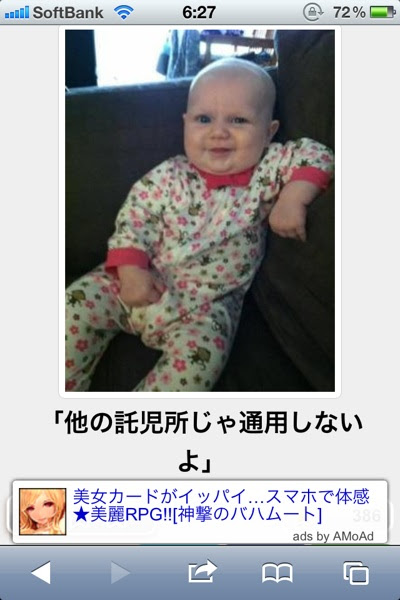 動物画像無料 50 面白い 画像 一言