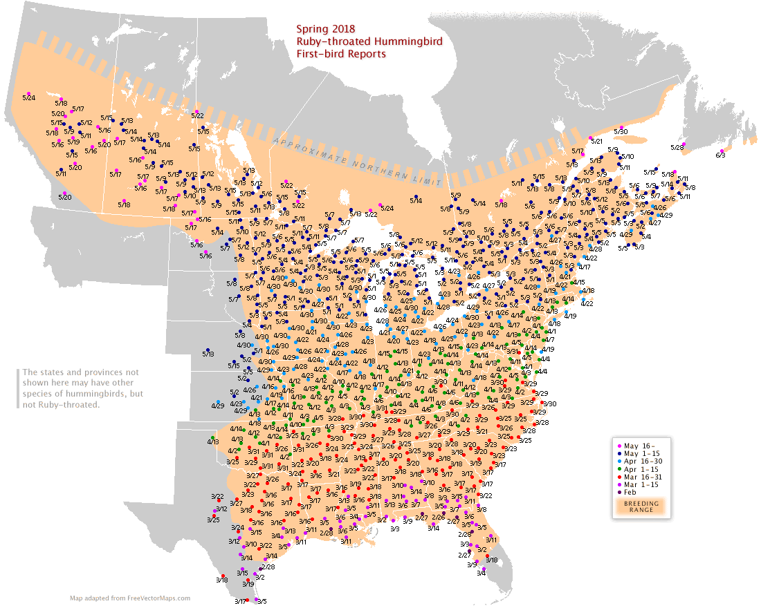We did not find results for: Migration Of Ruby Throated Hummingbirds