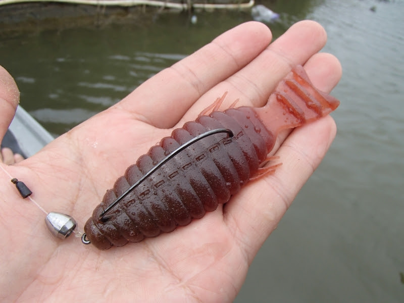 上ブルフラット セッティング すべての魚の画像