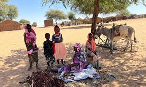 La aguda inseguridad alimentaria provocada por la actual crisis en Sudán se agravará en los próximos meses.