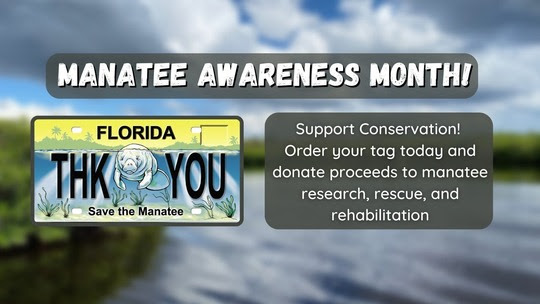 Manatee license plate promotion post