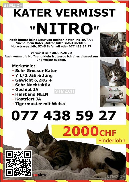 Suchplakat erstellen katze / plakat : Meldung Nr 225 514 Vermisst Katze In 5745 Safenwil