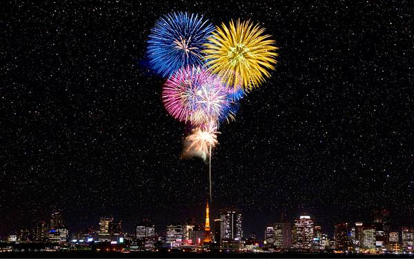 ぜいたく壁紙 花火 画像 高 画質 花の画像