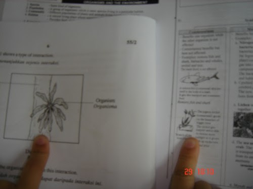 Contoh Soalan Spm Perdagangan 2019 - Selangor u