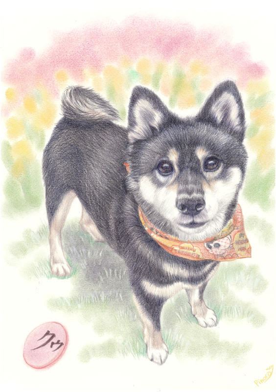 これまでで最高の犬 イラスト リアル 柴犬 アニメ画像