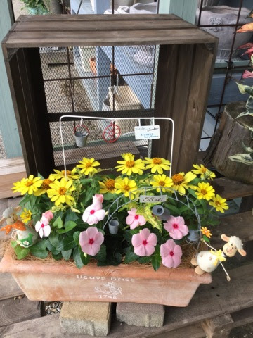 最高かつ最も包括的な6月 植える 花 美しい花の画像