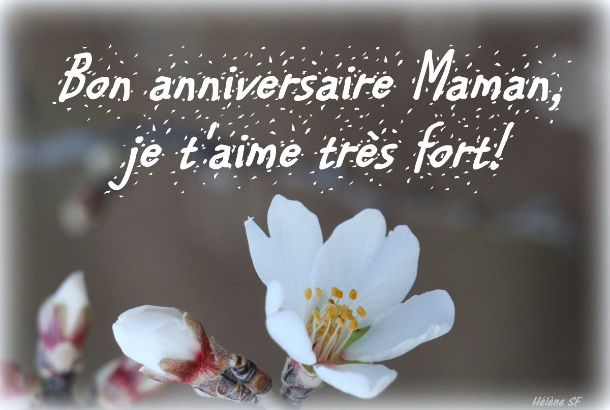 Joyeux Anniversaire Image Bon Anniversaire Maman