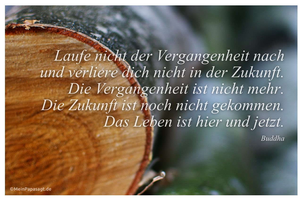 Buddhismus Zitate Freundschaft Zitate Leben