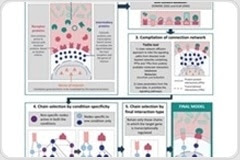 New tool shows how microbes influence health and promote diseases