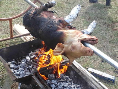 動物画像無料 ベスト50 バーベキュー 食材 面白い