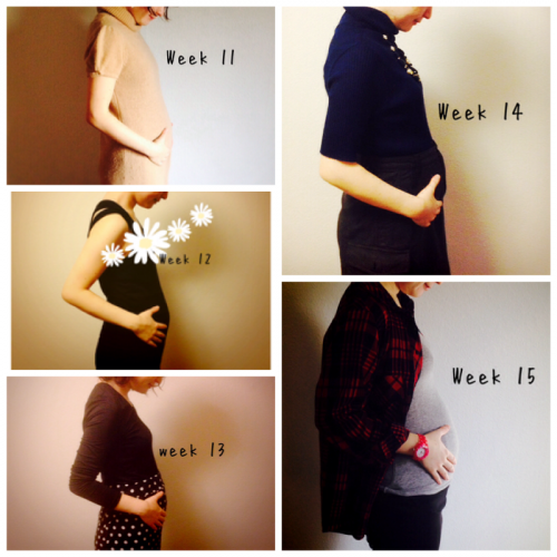 イメージカタログ ラブリー 妊娠 5 ヶ月 お腹 の 大き さ