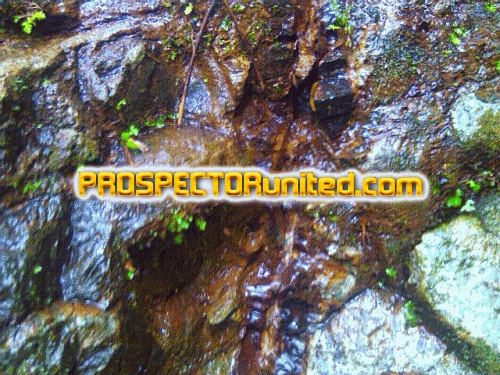 Tanahnya mengandung mineral sulfida yang tinggi. Prospectorunited Com