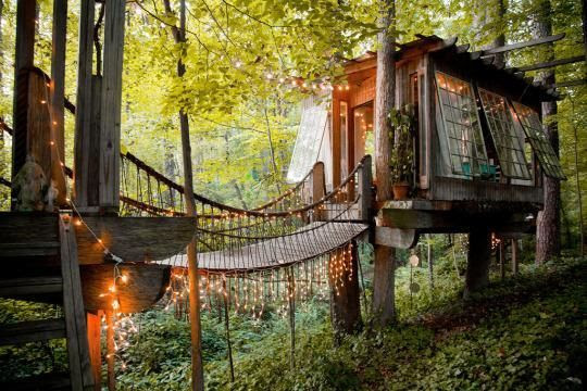 Tree HOuse