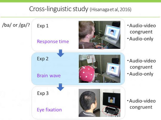 Hearing With Your Eyes: A Western Style of Speech Perception