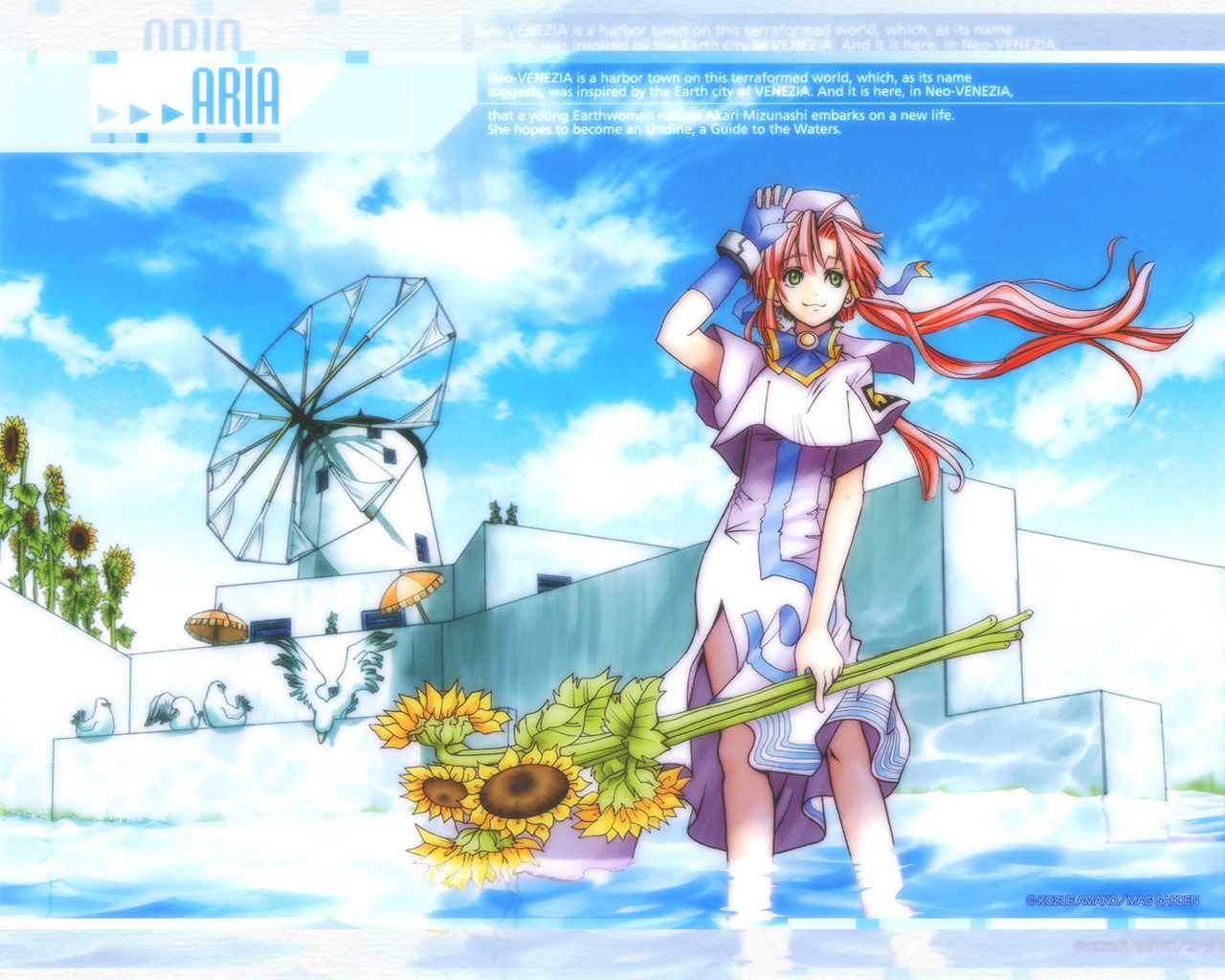 元のaria 壁紙 公式 最高の花の画像